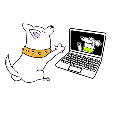 Úvodný rozhovor pred tréningom psov s lilafordogs.sk